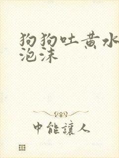 狗狗吐黄水带点泡沫