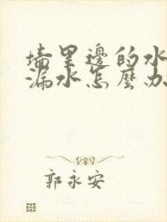 墙里边的水管子漏水怎么办