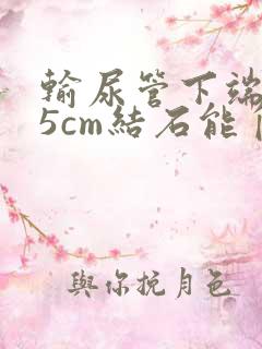 输尿管下端0.5cm结石能自己排出吗