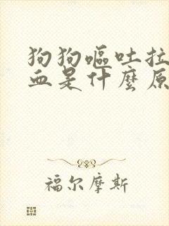 狗狗呕吐拉稀拉血是什么原因