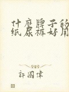 什么牌子的老人纸尿裤好用又实惠