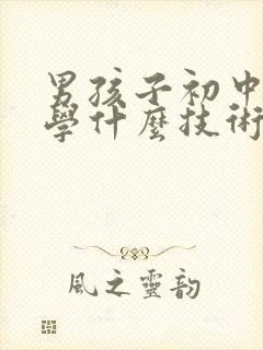 男孩子初中毕业学什么技术