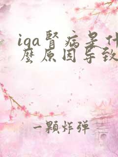 iga肾病是什么原因导致的