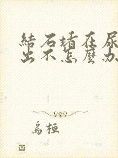 结石堵在尿道口出不怎么办