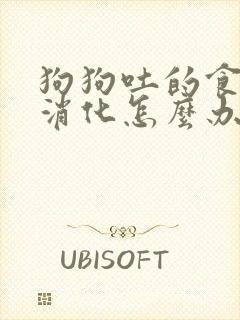 狗狗吐的食物未消化怎么办