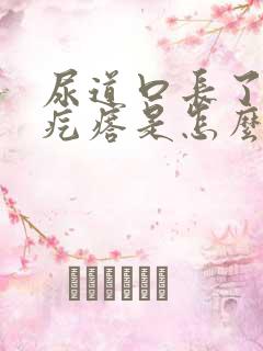 尿道口长了一个疙瘩是怎么回事