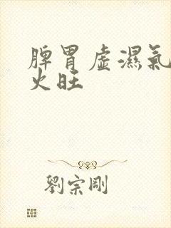 脾胃虚湿气重肝火旺