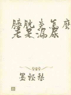 膀胱炎怎么治 老是漏尿