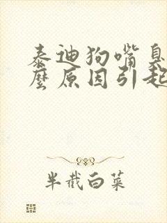 泰迪狗嘴臭是什么原因引起的