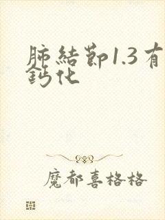 肺结节1.3有钙化