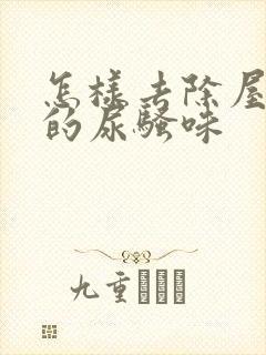 怎样去除屋子里的尿骚味