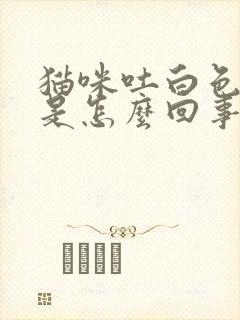 猫咪吐白色泡泡是怎么回事