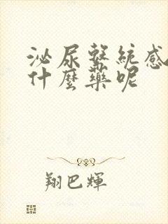 泌尿系统感染吃什么药呢