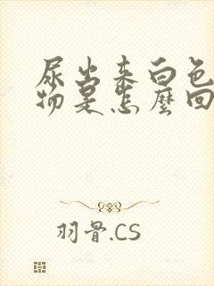 尿出来白色浑浊物是怎么回事