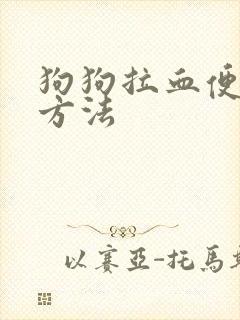 狗狗拉血便治疗方法