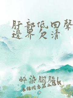 肝部低回声结节边界欠清