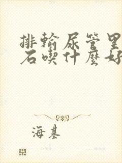 排输尿管里有结石吃什么好