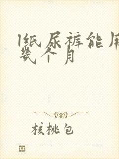 l纸尿裤能用到几个月