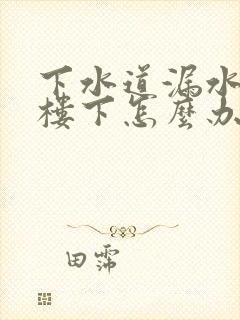 下水道漏水漏到楼下怎么办