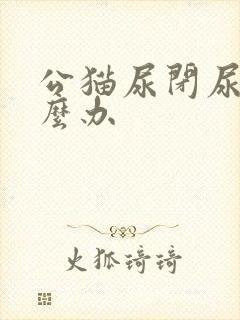 公猫尿闭尿血怎么办