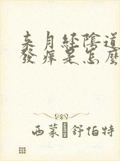 来月经阴道特别发痒是怎么回事