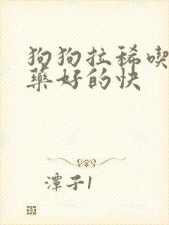 狗狗拉稀吃什么药好的快