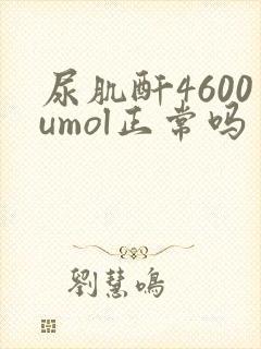 尿肌酐4600umol正常吗