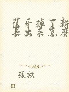 旧牙掉了新牙没长出来怎么办