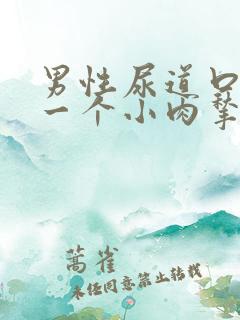 男性尿道口长了一个小肉揪