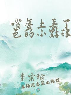 嘴唇上长了个白色的小点很痛