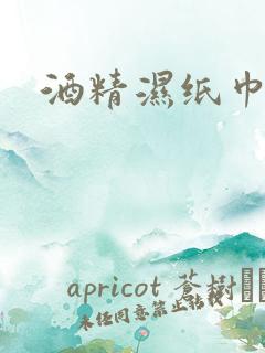 酒精湿纸巾排名