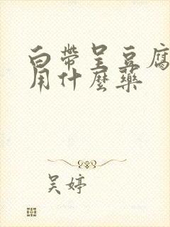 白带呈豆腐渣状用什么药