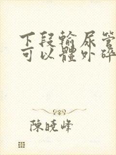 下段输尿管结石可以体外碎石吗