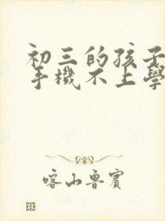 初三的孩子沉迷手机不上学怎么办