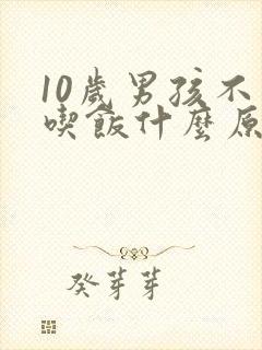 10岁男孩不爱吃饭什么原因