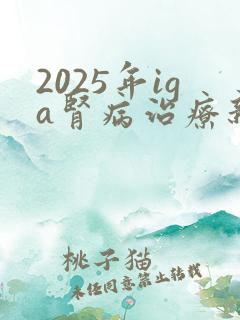 2025年iga肾病治疗新药