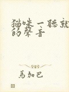 猫咪一听就过来的声音