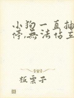 小狗一直抽搐不停,无法站立