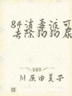 84消毒液可以去除狗狗尿骚味吗