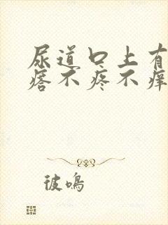 尿道口上有小疙瘩不疼不痒