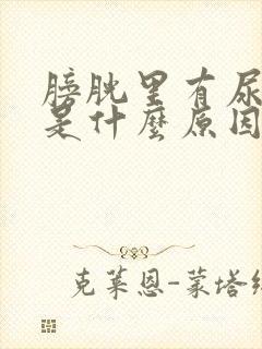 膀胱里有尿就疼是什么原因