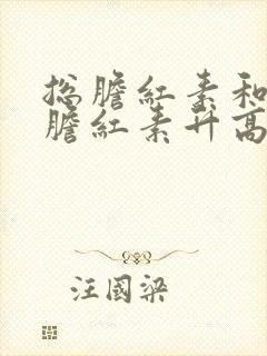 总胆红素和间接胆红素升高是什么意思