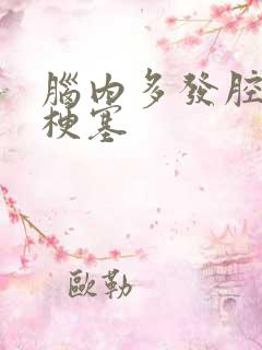 脑内多发腔隙性梗塞