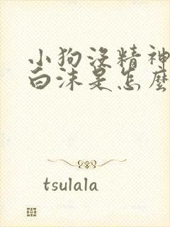 小狗没精神口吐白沫是怎么回事