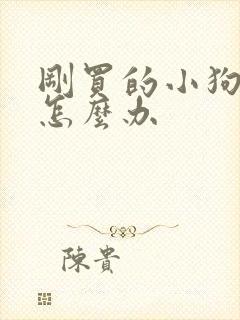 刚买的小狗呕吐怎么办