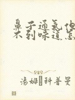 鼻子通气但是闻不到味道怎么办