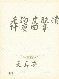 老狗皮肤溃烂是什么回事