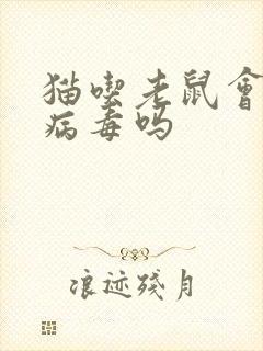 猫吃老鼠会感染病毒吗