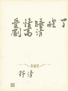 爱情睡醒了电视剧高清