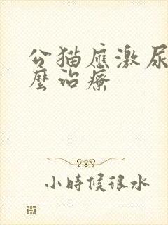 公猫应激尿血怎么治疗